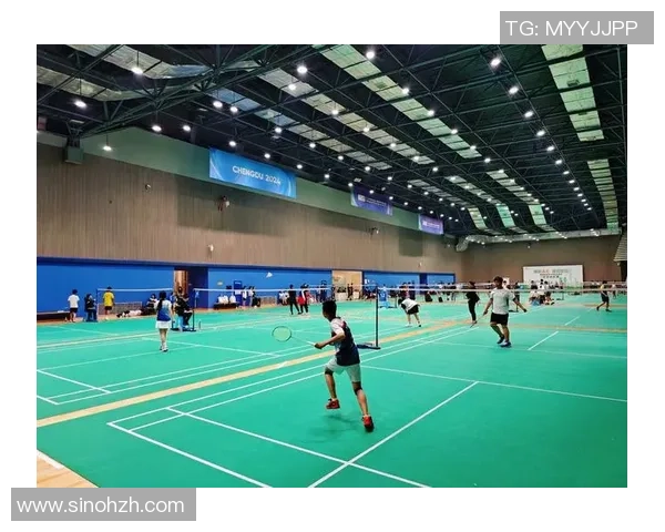 成都羽毛球队个人能力深度解析与发展策略探讨 成都羽毛球队个人能力深度解析与发展策略探讨