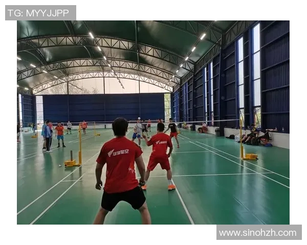 深入分析北京羽毛球队的运营策略与发展模式探讨