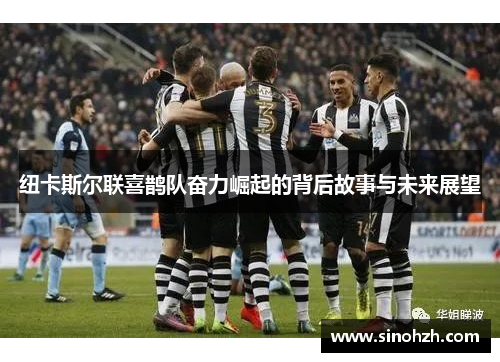 纽卡斯尔联喜鹊队奋力崛起的背后故事与未来展望