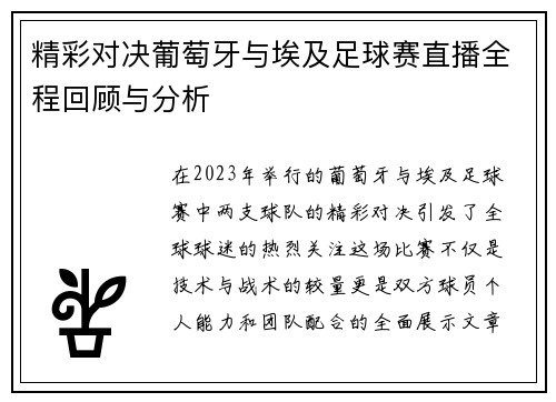 精彩对决葡萄牙与埃及足球赛直播全程回顾与分析